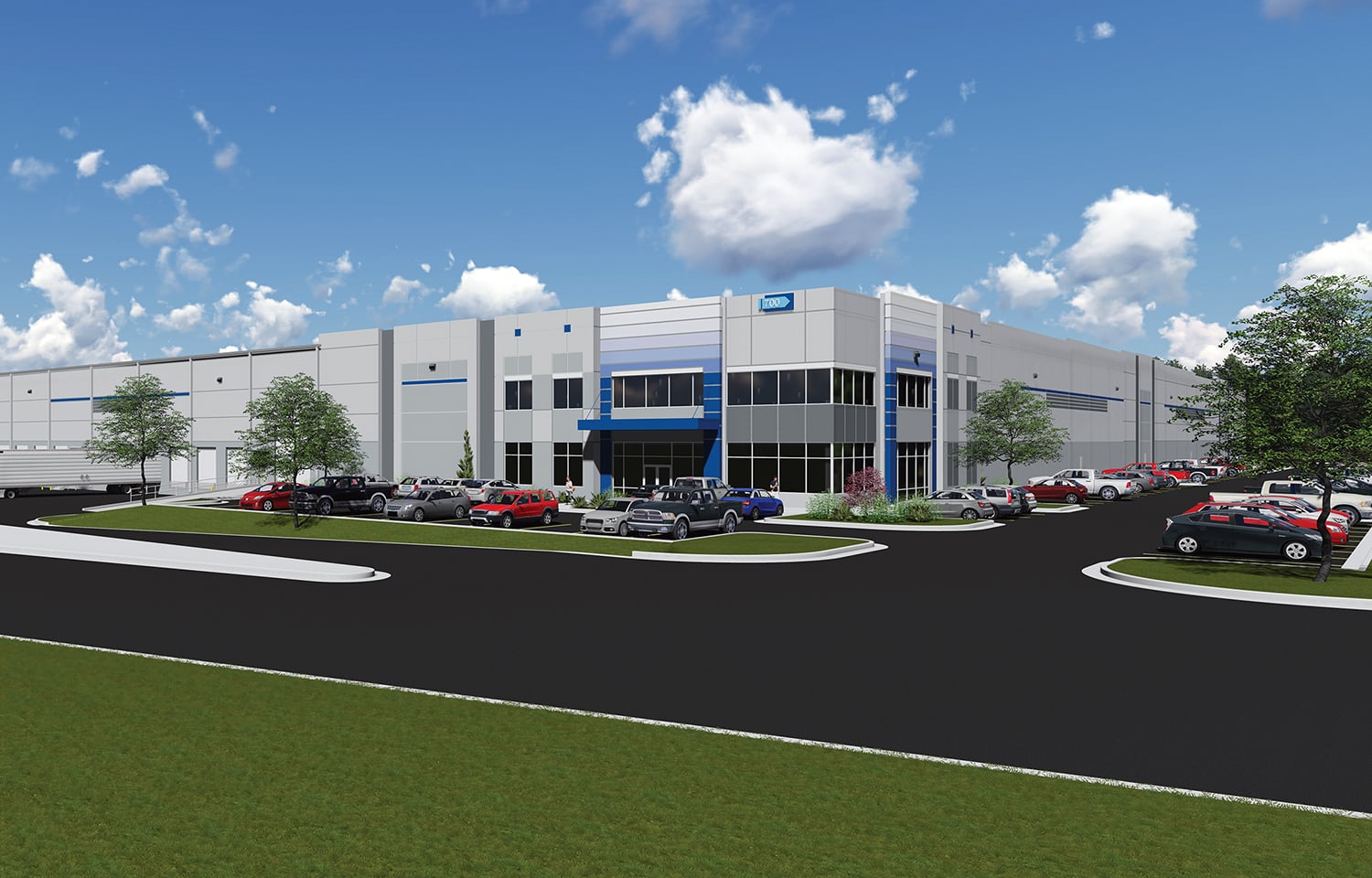 Olive Branch Rendering